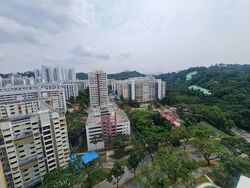 Blk 48 Blangah Court (Bukit Merah), HDB 5 Rooms #562452471